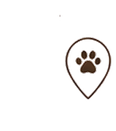 神社ねこ